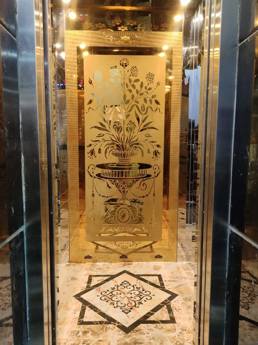 Installed elevator cabin project by Leo Elevator Company